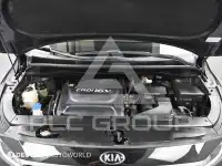2016 KIA Carnival