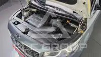 2016 KIA Carnival