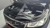 2016 KIA Carnival