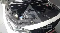 2016 KIA Carnival