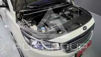 2016 KIA Carnival