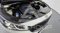 2016 KIA Carnival