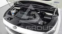 2016 KIA Carnival