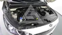 2016 KIA Carnival