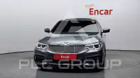 2017 BMW 530M