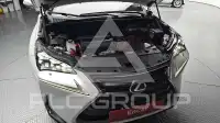 2017 Lexus NX