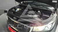 2017 KIA Carnival