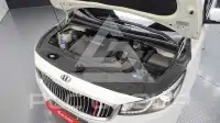 2017 KIA Carnival