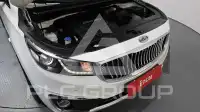 2017 KIA Carnival