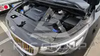 2017 KIA Carnival