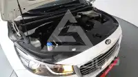 2017 KIA Carnival