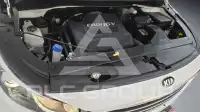 2017 KIA Carnival