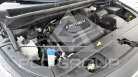 2017 KIA Carnival