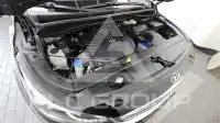 2017 KIA Carnival