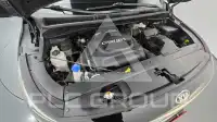 2017 KIA Carnival