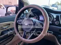 2017 KIA Carnival