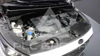 2017 KIA Carnival