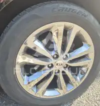 2017 KIA Carnival