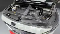 2017 KIA Carnival