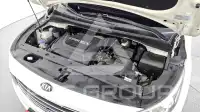 2017 KIA Carnival