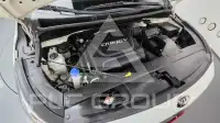 2017 KIA Carnival