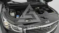 2017 KIA Carnival