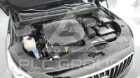 2017 Hyundai Aslan