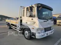 2017 Hyundai Mega truck