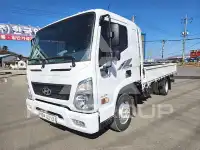 2017 Hyundai Mighty