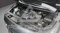 2017 KIA Carnival