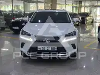 2018 Lexus NX
