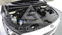 2018 KIA Carnival