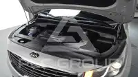 2018 KIA Carnival