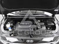 2018 KIA Carnival