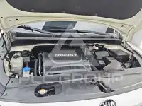 2018 KIA Carnival