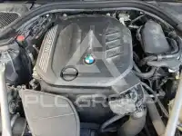 2019 BMW 520M