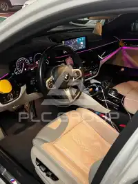 2019 BMW 530M
