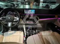 2019 BMW 530M