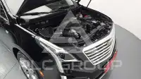 2019 Cadillac XT5