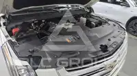 2019 Cadillac Escalade