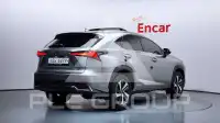 2019 Lexus NX