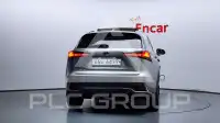 2019 Lexus NX