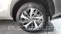 2019 Lexus NX