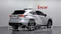 2019 Lexus NX