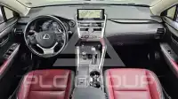 2019 Lexus NX