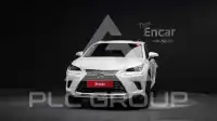 2019 Lexus NX