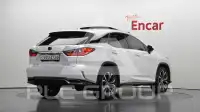 2019 Lexus RX