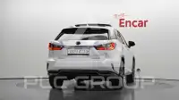 2019 Lexus RX