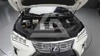 2019 Lexus RX