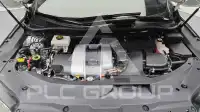 2019 Lexus RX